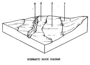Terraces with Variable Soils on Quaternary Sediments - Qya