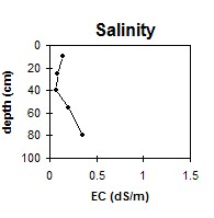 SW36 Salinity