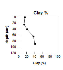 Graph: SW39 Clay