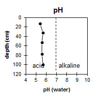 Graph: SW39 pH