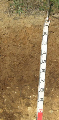 Soils and landforms of the Buchan and Suggan Buggan region - Tarravale EG25 profile