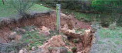 Tunnel erosion in East Gippsland image 2