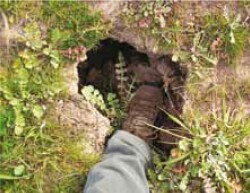Tunnel erosion in East Gippsland Appendix 5