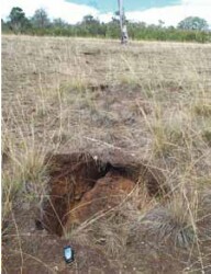 Tunnel erosion in East Gippsland fig 1a