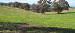 Tunnel erosion in East Gippsland May 2004