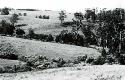 A study of the land in the Catchment of Gippsland Lakes - Vol 2 - land system Haunted Hills- image