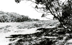 A study of the land in the Catchment of Gippsland Lakes - Vol 2 - land system Nunniong- image
