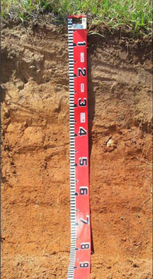 Soils and landforms of the Omeo/Benambra and Tambo Valley region - soil-landform unit Beloka EG105 profile