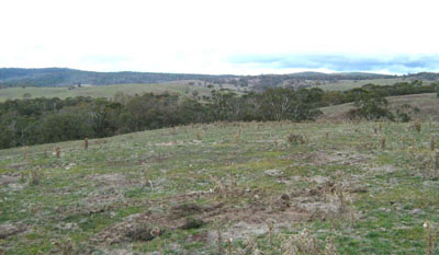 Soils and landforms of the Omeo/Benambra and Tambo Valley region - soil-landform unit Cobungra EG212 landscape