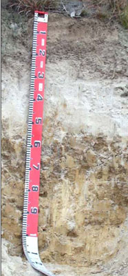 Soils and landforms of the Omeo/Benambra and Tambo Valley region - soil-landform unit Omeo EG71 profile