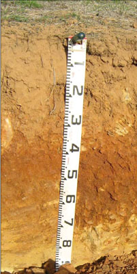 Soils and landforms of the Omeo/Benambra and Tambo Valley region - soil-landform unit Hinnomunjie EG250 profile