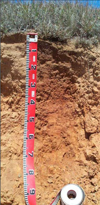 Soils and landforms of the Omeo/Benambra and Tambo Valley region - soil-landform unit Hinnomunjie EG60 profile