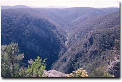 Photo: Little River Gorge in the Snowy River National Park