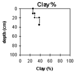 Graph: Site GN12 Clay%