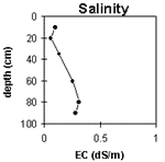 Graph: Site GN12 Salinity levels