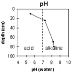 Graph: Site GN13 pH levels