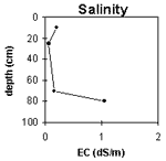 Graph: Site GN13 Salinity levels