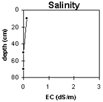 Graph: Site GN9 Salinity levels