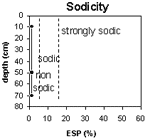 Graph: Site GN9 Sodicity levels