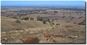 Photo: View from Mt Major looking south (Photo: David Rees, DPI).