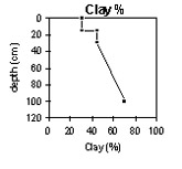 Graph: Soil Site GN7 Clay percentage