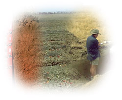 Photo: Goulburn Broken Soil Montage