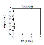 VIT6 Salinity