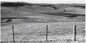 Plate 24 - The Casterton land-system is where dissection of the Dundas Tablelands has exposed Mesozoic sediments