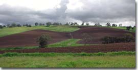 Photo: Cultivated Land near Wando Vale