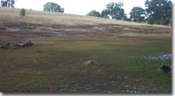 PHOTO: Discharge area in eastern Dundas Tablelands
