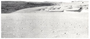 Discovery Bay land system - the sands of the Discovery Bay land-unit
