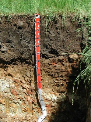 Soil pit GL162 profile