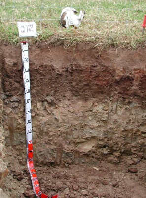 Soil pit GL172 profile