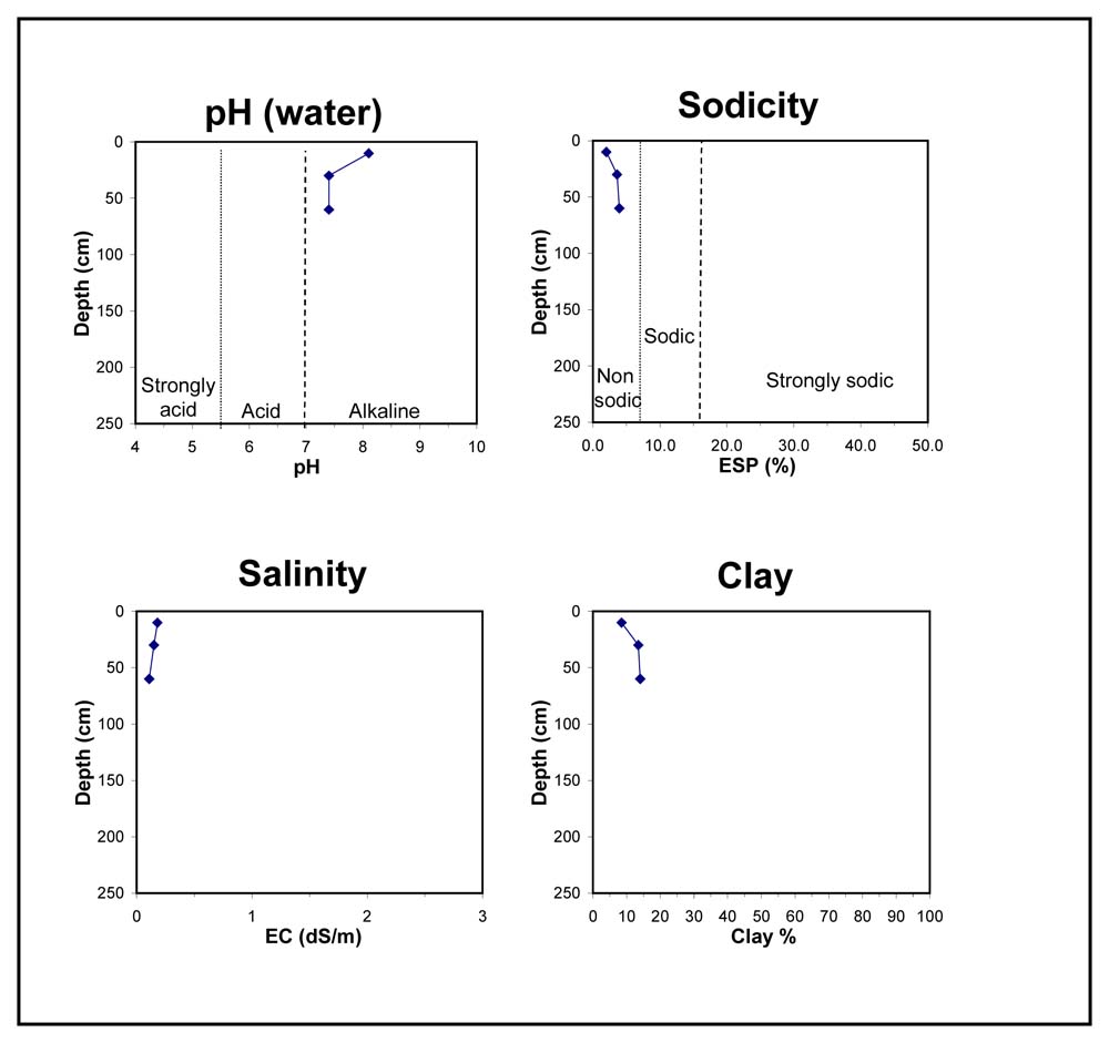 Soil pit GL79 graphs