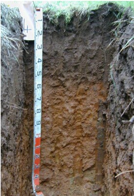 Soil pit Qua98 4 profile