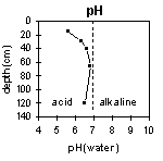 Graph: pH in PVI 3