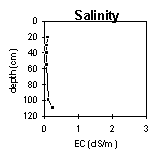 Graph: Salinity in PVI 7