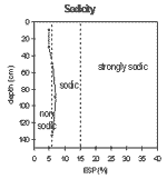 Graph: Sodicity in Site SW10