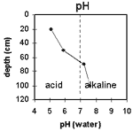 GRAPH: pH of Soil Site SW18