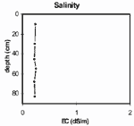GRAPH: Soil site SW1 salinity