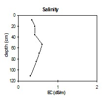 SW2 salinity