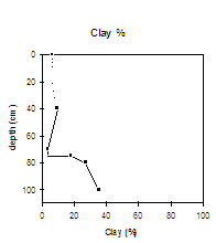 Graph: Clay% in Site SW3