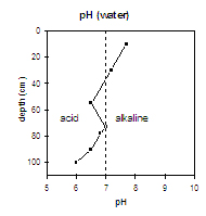 Graph: pH in Site SW3