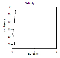 Graph: Salinity in Site SW3