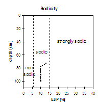 Graph: Sodicity in Site SW3