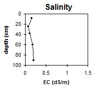 SW49 Salinity