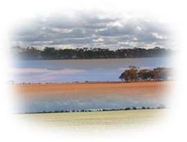 Photo: Mallee Climate Montage