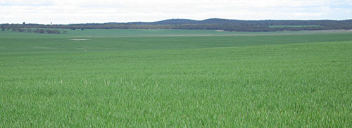 Image: ESAS12c Landscape 2