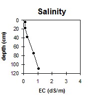 MP13 salinity