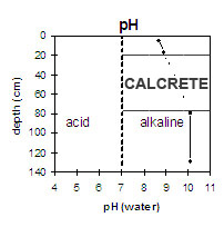 Graph: pH levels in Soil Pit Site MP 16